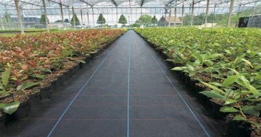 PP防草布