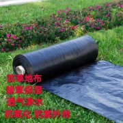 05mm魚池防滲土工膜多少錢