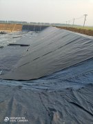 200克短絲土工布價(jià)格