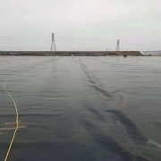 500克短纖土工布價(jià)格是多少