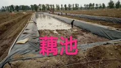 150g批發(fā)土工布價(jià)格是多少