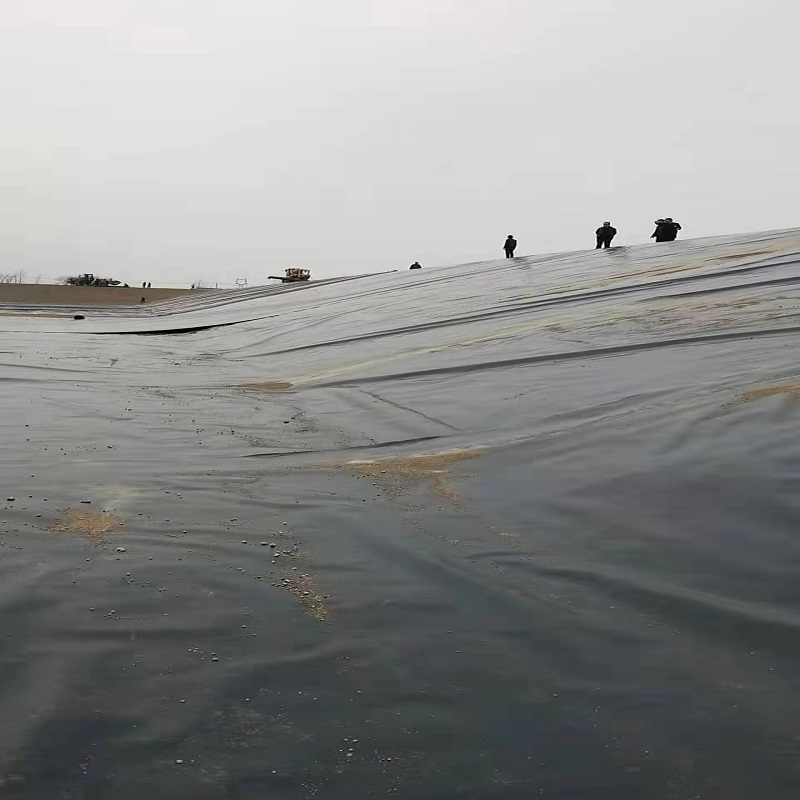 防滲hdpe土工膜多少錢