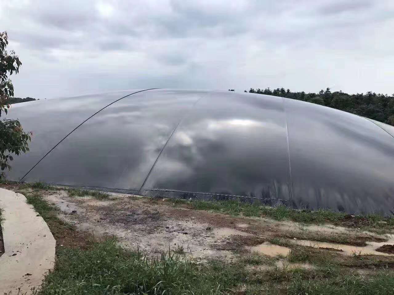 垃圾場土工膜多少錢