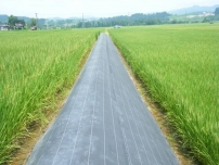 300g養(yǎng)護(hù)土工布價(jià)格是多少